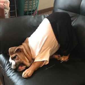 Meet your Posher, Devyn